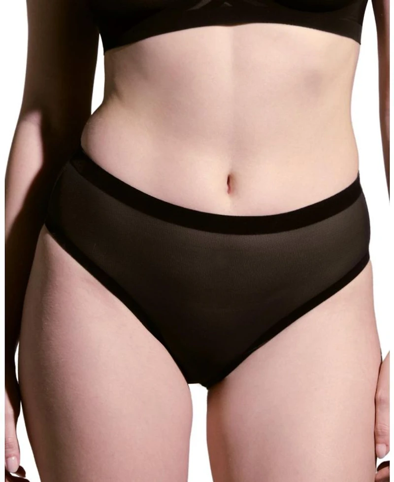 Sheer High Cut Highwaisted Brief
