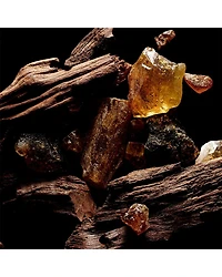 Sacred Wood Refillable Perfume 3.4 oz.