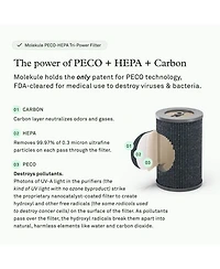 PECO-HEPA Tri-Powered Filter for Air Pro