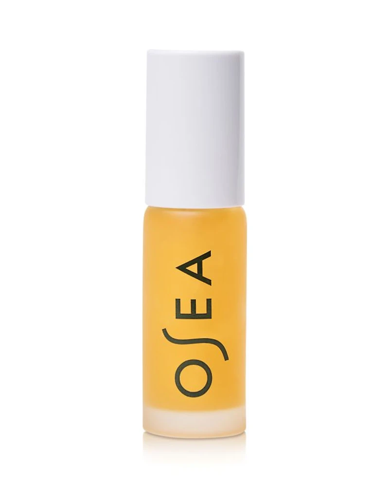 Hyaluronic Acid Lip Booster