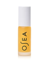 Hyaluronic Acid Lip Booster