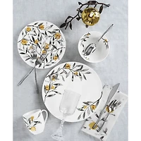 Pomegranate 4 Piece Dinnerware Set
