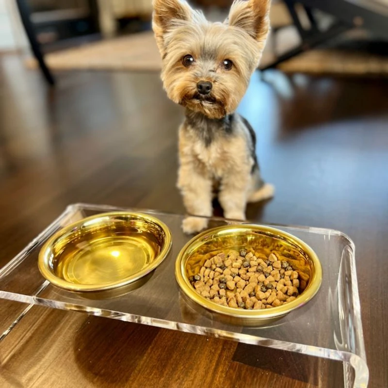 Small Clear Double Bowl Pet Feeder, 1 Quart Bowls