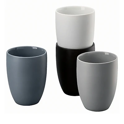 Rosenthal Double Wall 4 Piece Mug Set
