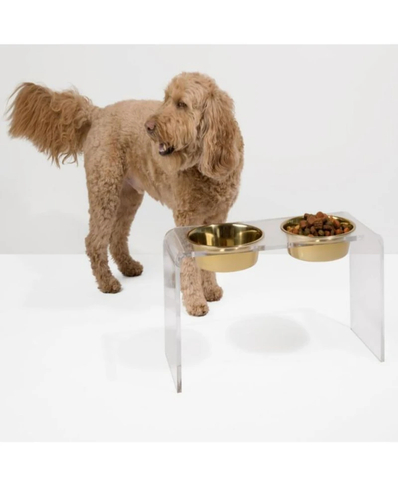 Large Clear Double Bowl Pet Feeder, 2 Quart Bowls
