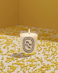 Mimosa Scented Candle