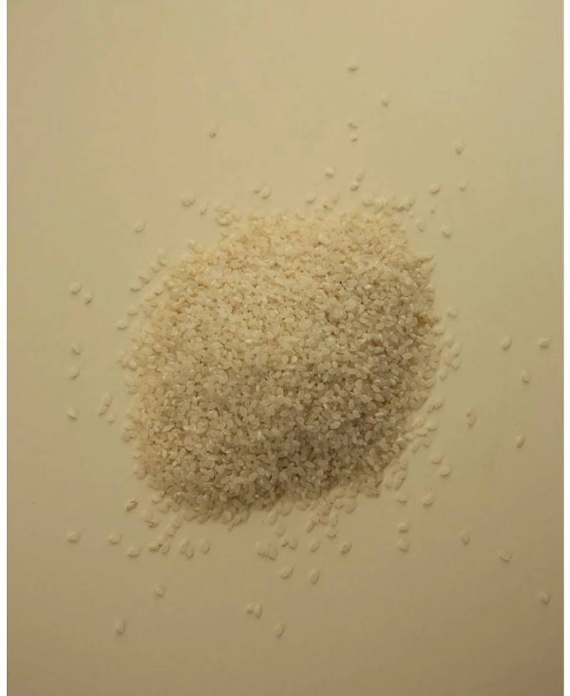Rice Probiotics Gentle Ferment Cream