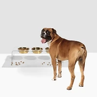 Medium Triple Bowl Pet Feeder, 1 Quart Bowls