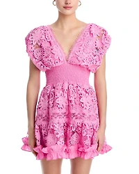 Morana Lace Embroidered Mini Dress - Exclusive