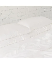 Silk Pillow, Standard