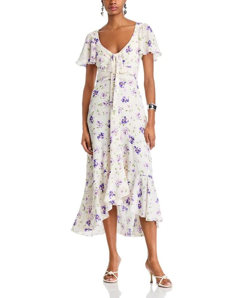 Tossed Poppies Isha Dress