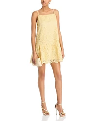 Lace Drop Waist Mini Dress - Exclusive