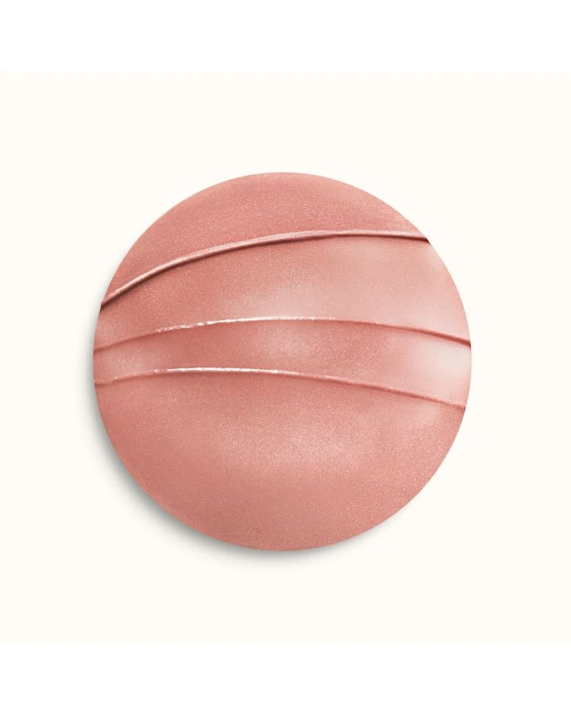 Limited Edition Rouge Hermès Silky Lipstick Shine