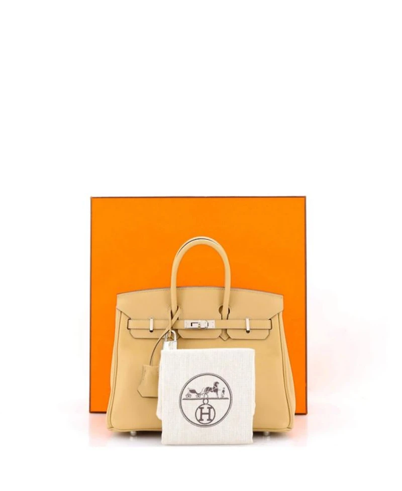 Birkin 25 Handbag Light Swift with Palladium Hardware
