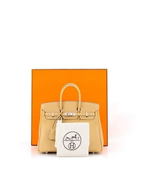 Birkin 25 Handbag Light Swift with Palladium Hardware