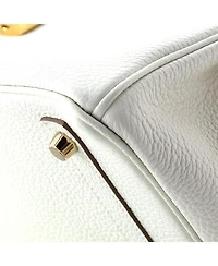 Birkin 30 Handbag Light Togo with Gold Hardware