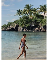 Plunging Neck Swimsuit