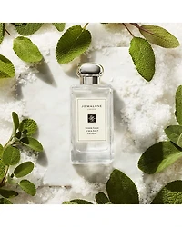 Most Loved Cologne Travel Spray Gift Set ($96 value)