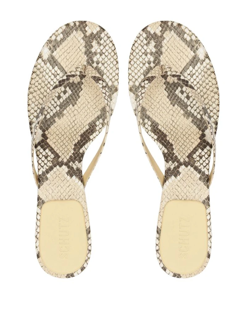 Women's Carolyn Thong Sandals