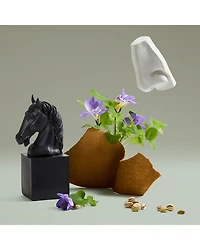 Fortuitous Finley Eau de Parfum 2.5 oz.