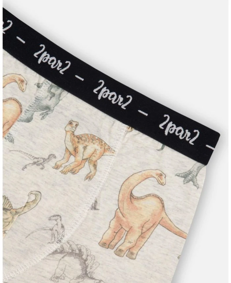 Boys' Printed Organic Cotton Boxer Shorts - Little Kid