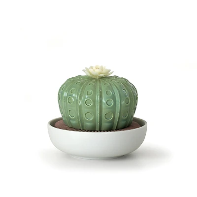 Lladro Astrophytum Cactus Diffuser - Gardens of Valencia