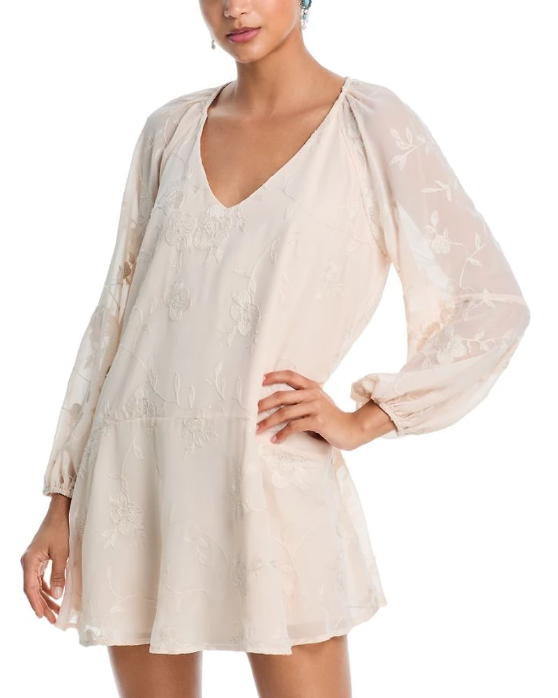 Embroidered Floral Chiffon Mini Dress - Exclusive