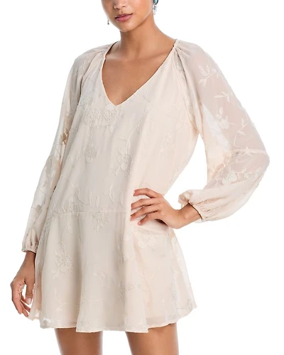 Embroidered Floral Chiffon Mini Dress - Exclusive