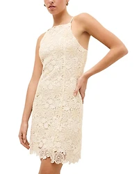Noah Dress