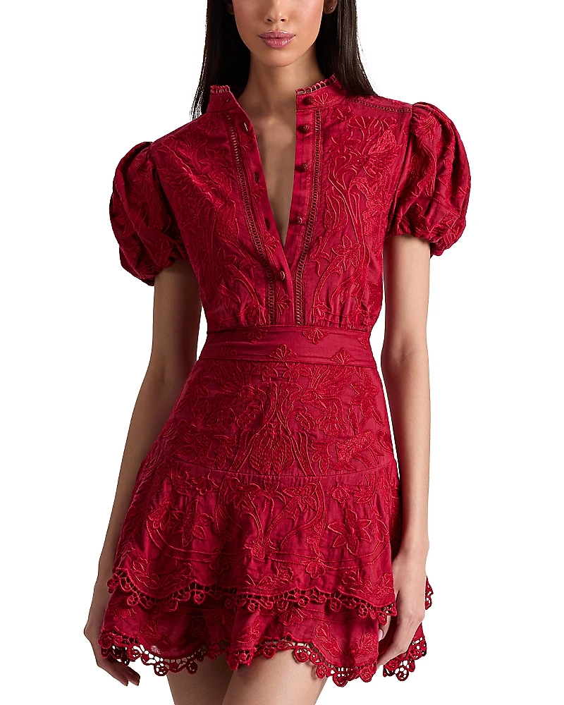 Alice and Olivia Loryn Embroidered Short Sleeve Dress