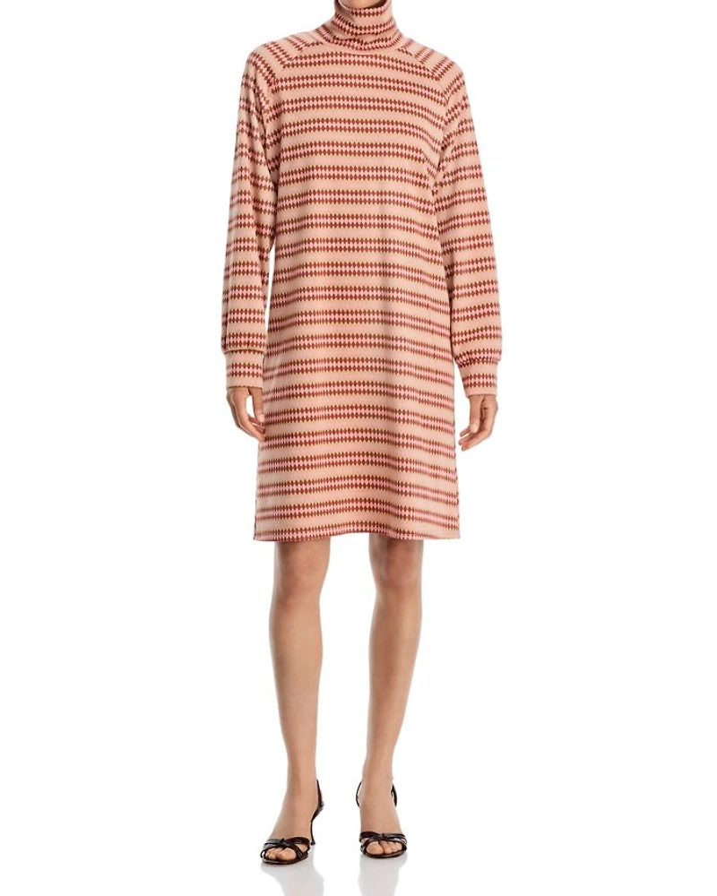 Alice Stripe Turtleneck Dress