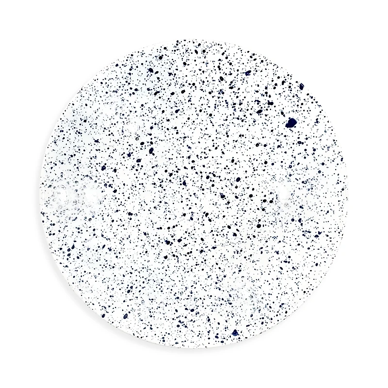 Non Sans Raison Splash Buffet Plate