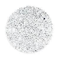 Non Sans Raison Splash Buffet Plate