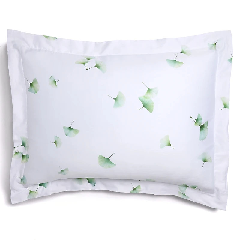 Schlossberg Aiko Blanc Sham, Standard