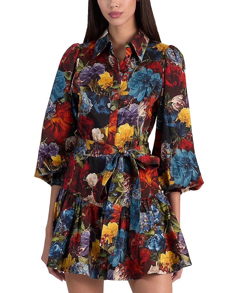 Alice and Olivia Lily Drop Waist Slim Dress