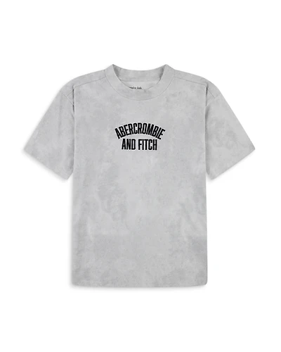abercrombie kids Boys' Arched Embroidery Tee - Big Kid
