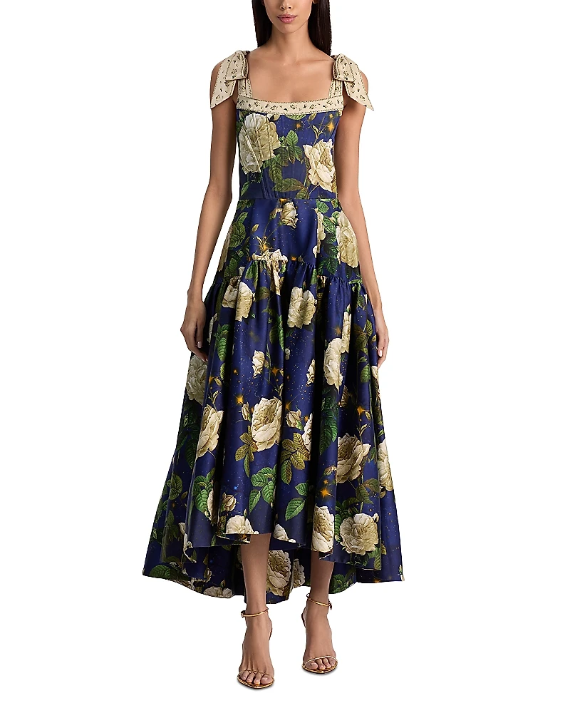 Alice and Olivia Rosalee Bustier Maxi Dress