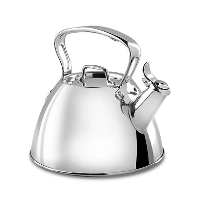 All Clad Stainless Steel Tea Kettle
