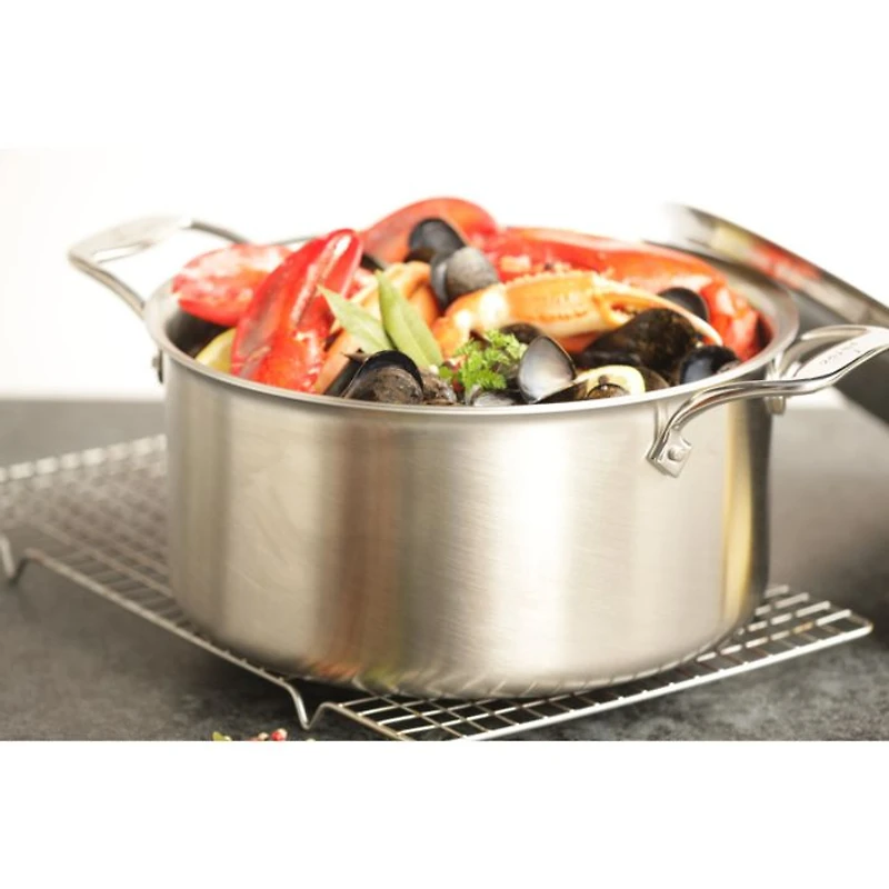 D5 Stainless Brushed 5-Ply Bonded 10-Piece Cookware Set