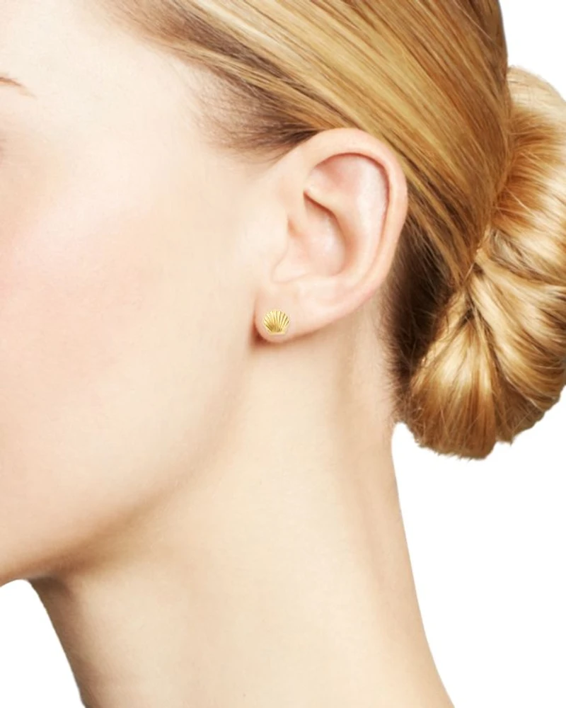 14K Yellow Gold Seashell Stud Earrings - Exclusive