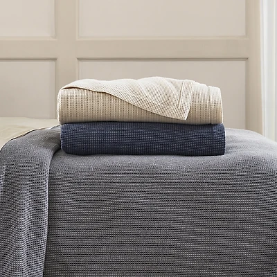 Sferra Talida Blanket