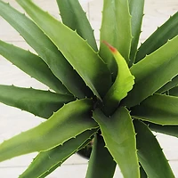 Green Agave Faux Plant Arrangement