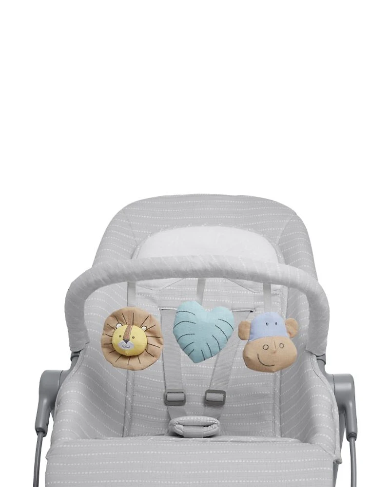 3 in 1 Transition Seat
