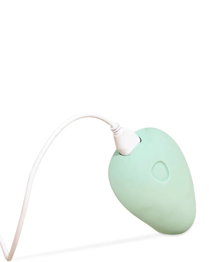 Pom Flexible Vibrator