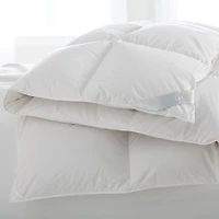 Scandia Home Salzburg Lightweight Down Comforter