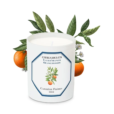 Carriere Freres Orange Blossom Candle, 6.5 oz.