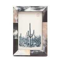 Pigeon & Poodle Essen Horn Frame