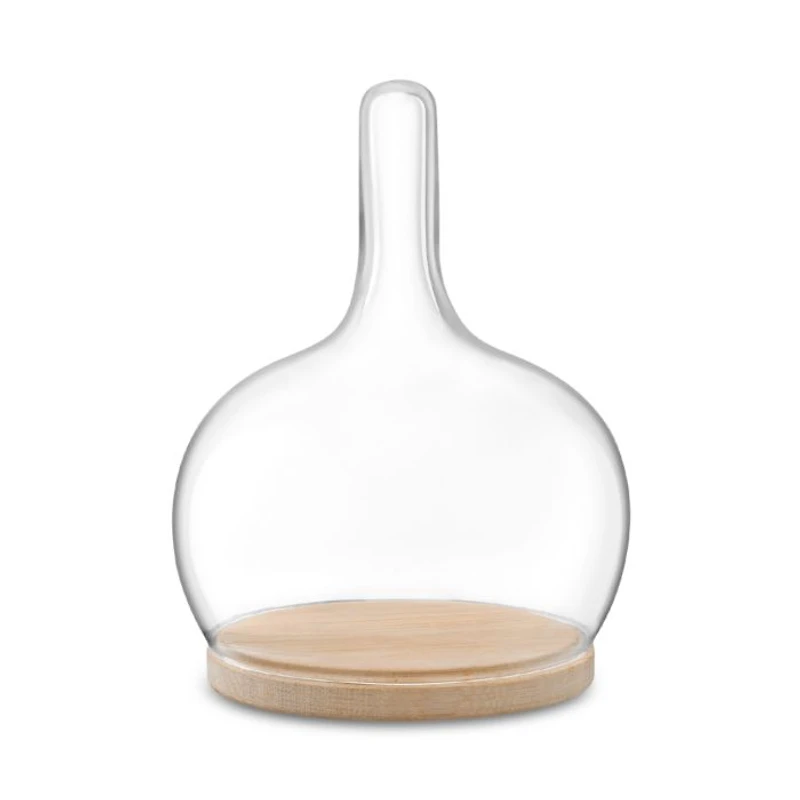 Glass Cloche Dome with Oak Base, 10"