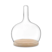 Glass Cloche Dome with Oak Base, 10"