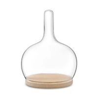 Lsa Glass Cloche Dome with Oak Base